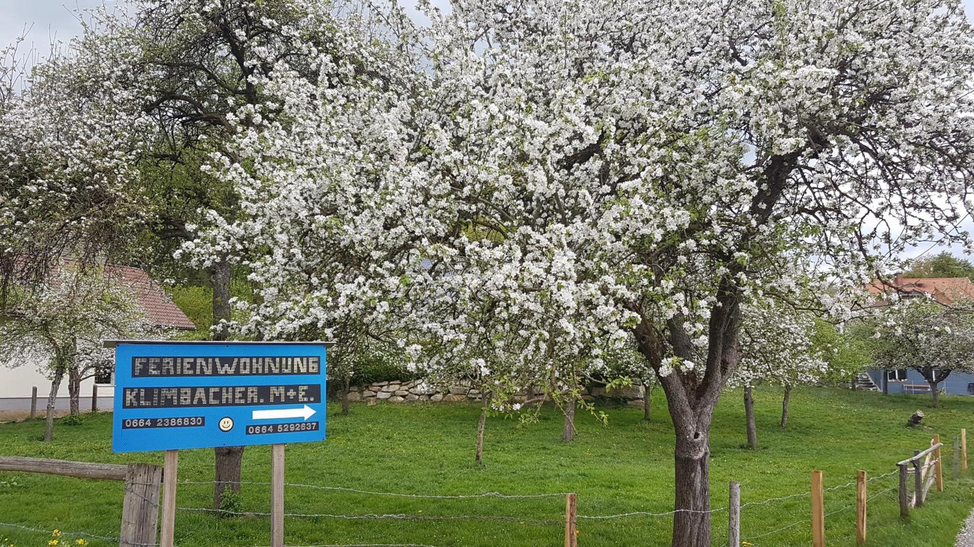 Ferienwohnungen Klimbacher Wolfsberg Phòng bức ảnh
